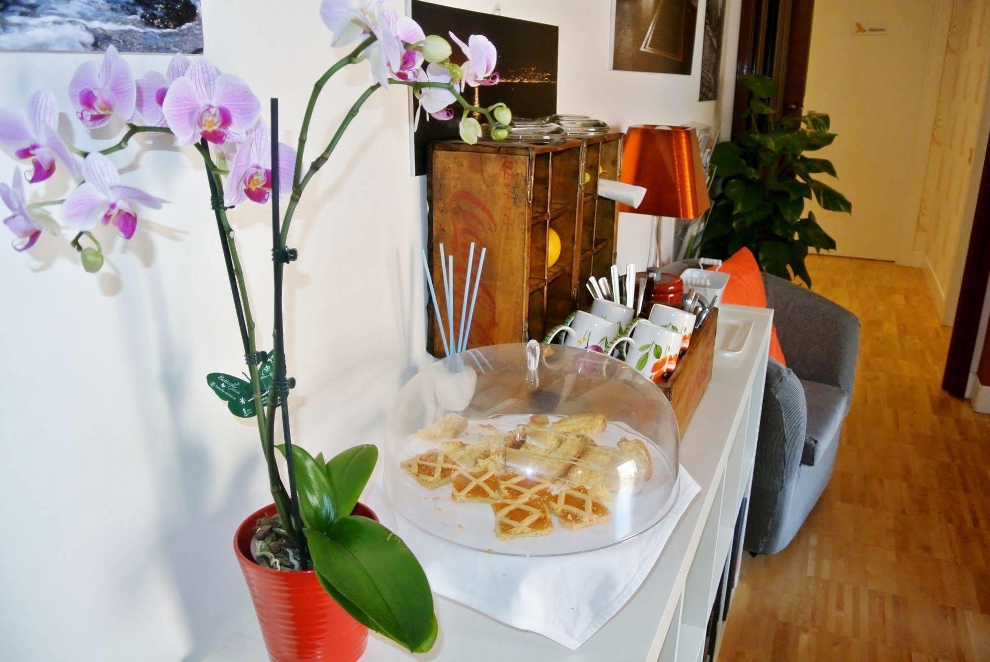 B&B Pellicano Guest House 레조디칼라브리아 외부 사진